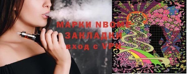 шишки Заводоуковск