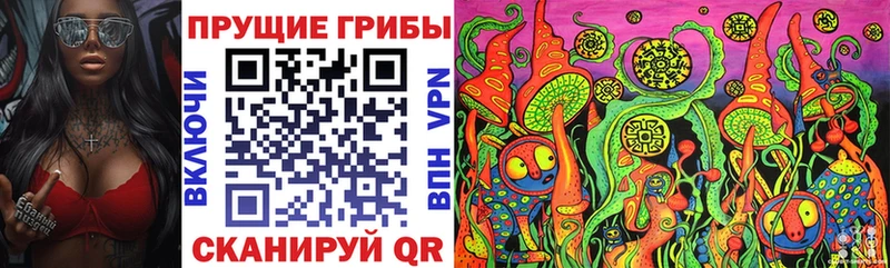 сколько стоит  Пыталово  Галлюциногенные грибы Psilocybine cubensis 